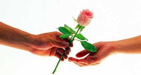 Nőnap alkalmából egyesületünk férfi tagjai nevében, ezzel a virtuális rózsával  ...